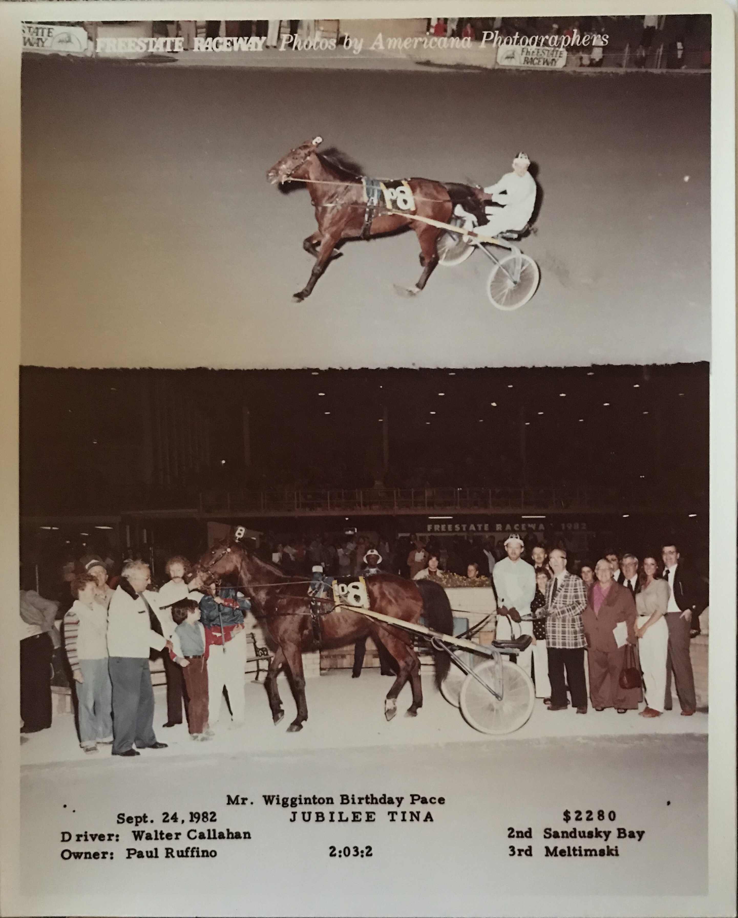 Jubilee Tina Free Legged Pacer