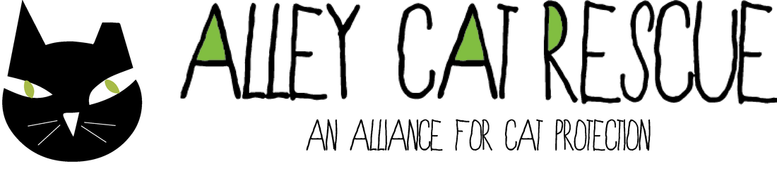 Alley Cat Rescue black cat logo with green lettering