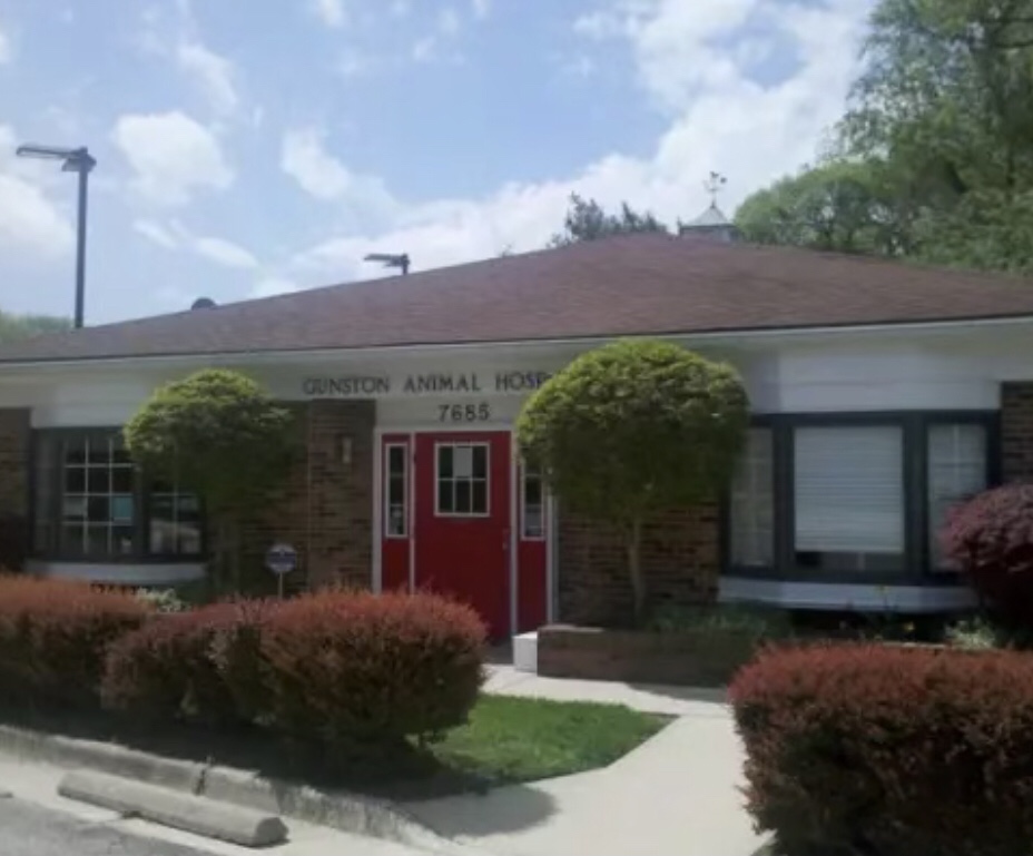 front of building with shrubs Gunston Animal Hospital